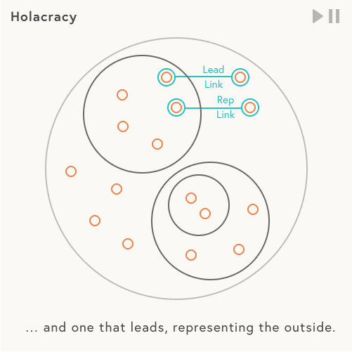 Holacracy circles